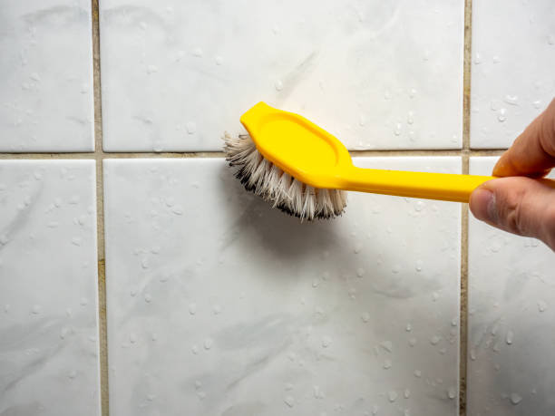 Best Mold Removal Specialists  in Flint, MI
