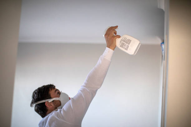 Best Professional Mold Removal  in Flint, MI