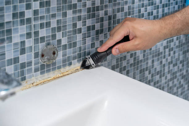 Best Emergency Mold Removal  in Flint, MI