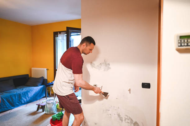 Reliable Flint, MI Mold Removal Solutions
